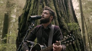 Passenger  Survivors Acoustic Live from Jedediah Smith Redwood State Park OR [upl. by Penrose397]