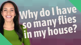 Why do I have so many flies in my house [upl. by Anaeg]