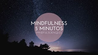 MEDITACIÓN MINDFULNESS EJERCICIO DE RESPIRACIÓN MINDFUL SCIENCE [upl. by Ainar]