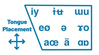 How Vowels Work  International Phonetic Alphabet Guide [upl. by Morse]