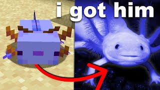 I Bought a Minecraft Axolotl in Real Life [upl. by Ayotol853]