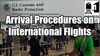 What is the Arrival Procedure on an International Flight [upl. by Nelluc]