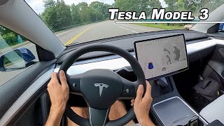 2021 Tesla Model 3 Performance  Is it a Drivers Car POV [upl. by Seidler73]