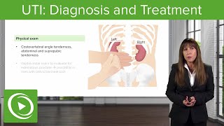 UTI Diagnosis and Treatment – Nephrology  Lecturio [upl. by Ameer]