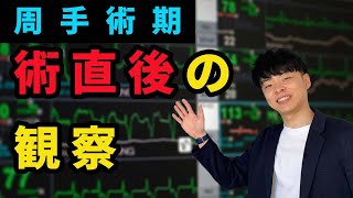 【看護学生！急性期の実習はこれで乗り切ろう！】術直後の観察ポイント [upl. by Ensoll]