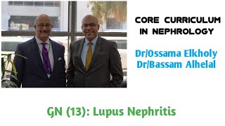 GN 13 Lupus Nephritis DrOssama Elkholy [upl. by Hamitaf]