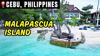 Malapascua Island Cebu  Ocean Vida Resort [upl. by Fredkin]