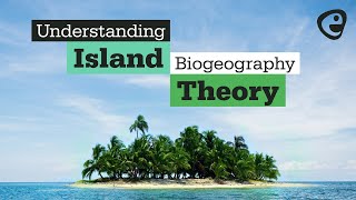 What is Island Biogeography Theory [upl. by Amati]