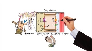 Pharmacology  DIURETICS MADE EASY [upl. by Suirtimed]