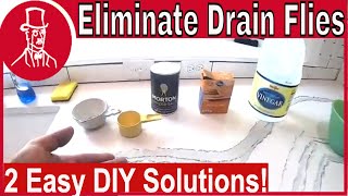 How to Get Rid of Drain Flies [upl. by Starlene810]