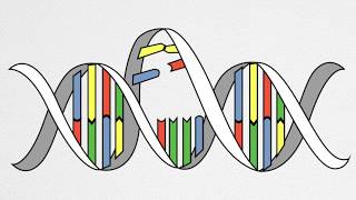 How UV Causes Cancer and Aging [upl. by Dinerman]