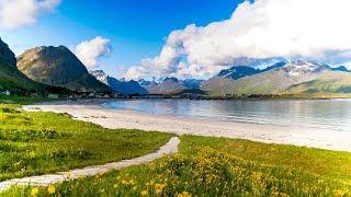 Uplifting Music  light positive happy music Gullrosøya  1 hour [upl. by Nyrat]