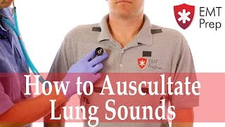 How to Auscultate Lung Sounds  EMTprepcom [upl. by Rebmaed556]