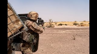 French Foreign Legionnaires kill two jihadists in Mali  March 2020 [upl. by Dustman]