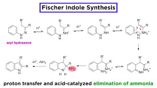 Fischer Indole Synthesis [upl. by Eirek439]