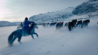 Tsaatan Tribe Expedition  Lake Khuvsgul Mongolia [upl. by Tiat]