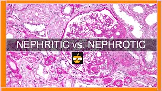 Nephritic vs Nephrotic Syndromes [upl. by Nomzed]