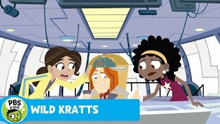 WILD KRATTS  Gourmands Dinner  PBS KIDS [upl. by Arivle]