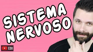 SISTEMA NERVOSO  FISIOLOGIA  Aula  Biologia com Samuel Cunha [upl. by Banerjee668]