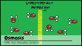 OLD VIDEO Osmosis [upl. by Aryan]