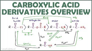 Carboxylic Acid Derivatives Overview and Reaction Map [upl. by Christopher]