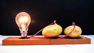 Free Energy Light Bulbs 220v using Potatoread description [upl. by Beckerman]