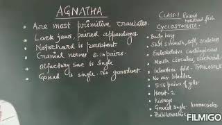 Agnatha and Gnathostomata [upl. by Camp]