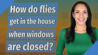 How do flies get in the house when windows are closed [upl. by Odnomar]