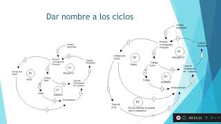 Diagramas causales [upl. by Anrim378]