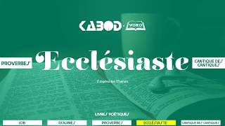 « Ecclésiaste »  LAncien Testament  La Sainte Bible audio VF Complète [upl. by Schechter]