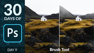 How to Use the Brush Tool in Photoshop  Day 9 [upl. by Doownel531]