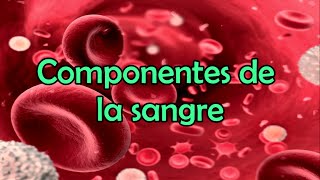 Los componentes de la sangre [upl. by Oj]