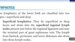 Lymphatics of lower limb amp Lymph node of Cloquet  Rosenmuller [upl. by Hamitaf]