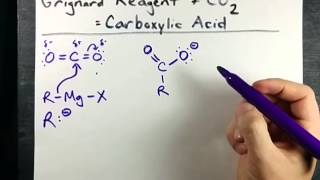 Grignard Reagent  CO2  Carboxylic Acid Mechanism [upl. by Liuka876]