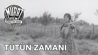 Tütün Zamanı Yılmaz Güney  FULL [upl. by Lib]