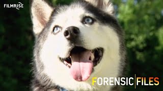 Forensic Files  Season 8 Episode 19  Breaking News  Full Episode [upl. by Charleton]