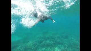 Malapascua island Snorkeling 1 [upl. by Gambrill]