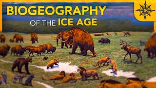 The BIOGEOGRAPHY of the Ice Age [upl. by Zebulen252]