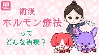 【初期治療の薬】術後ホルモン療法ってどんな治療？【乳腺科医が解説】 《BC Tube：乳癌の専門家による情報発信グループ》 [upl. by Kermie658]