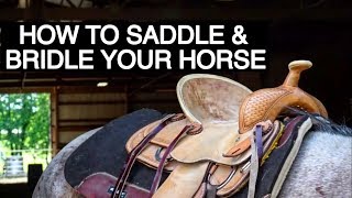 HOW TO TACK UP YOUR HORSE WESTERN [upl. by Ynelram]