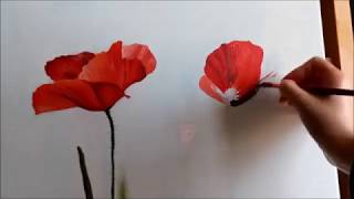 DeArt Papaveri  poppies paintings [upl. by Leacim]