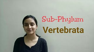 SubPhylum Vertebrata  Biological classification part 22  Class XILecture 50 [upl. by Sudnak314]