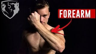 Forearm Strengthening Exercises for Fighters Wrist Fist amp Grip [upl. by Ben]