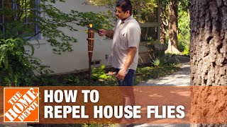 How to Keep Flies Away and Prevent Flies in Your House [upl. by Enyamart679]