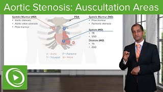 Aortic Stenosis Auscultation Areas – Valvular Heart Disease  Lecturio [upl. by Ranique126]