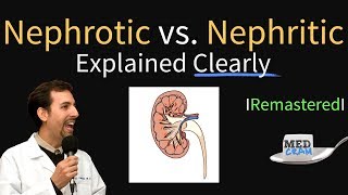 Acute Interstitial Nephritis Mnemonic for the USMLE [upl. by Motch]