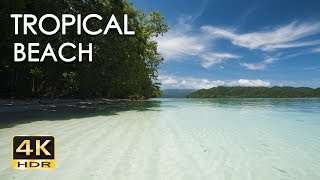 4K HDR Tropical Beach  Gentle Ocean Wave Sounds  Peaceful Wild Island  Relaxing Nature Video [upl. by Siravat464]