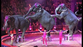 Gärtner Family  Elephant Show  Bronze Clown  MonteCarlo 2019 [upl. by Simson]