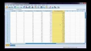 Calcuate zscores in SPSS [upl. by Amles]