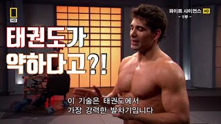 죽음의 발차기를 보여주마 태권도 vs 가라테 vs 무에타이 vs 카포에라 발차기 비교 feat 싸움의벽l해외이슈l해외현황l [upl. by Colp]